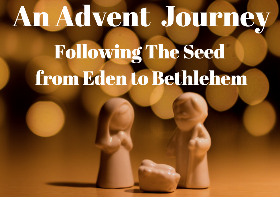 How Christmas Brings Clarity to the Entire Bible